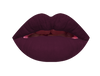 Lipitude Lip Stain - Raisin