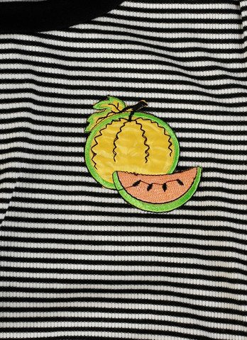 Harmony Fruit Striped Ringer By Echo Club House
