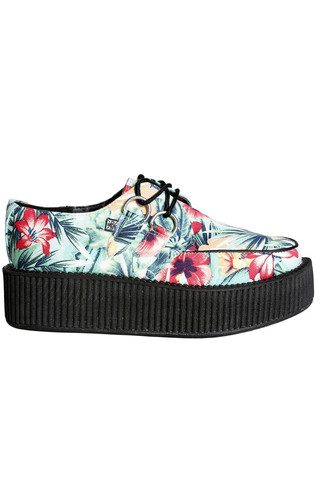 Tropical Creeper by T.U.K.